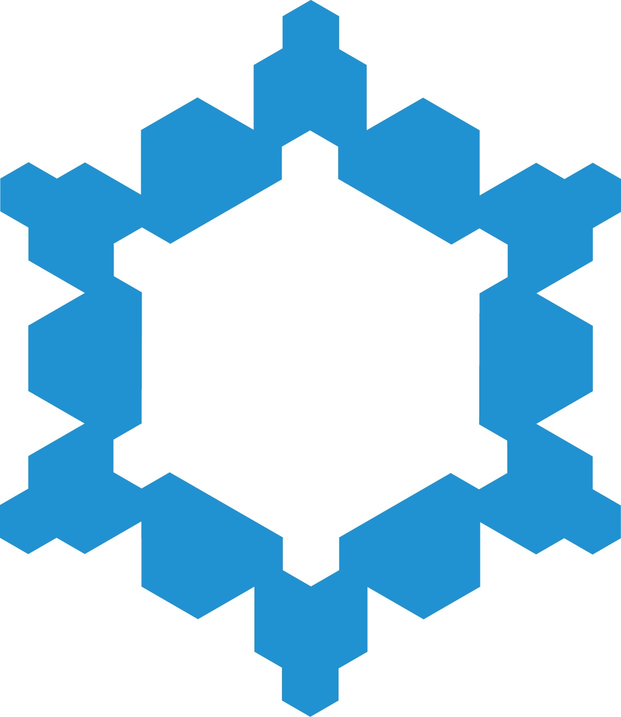 Professional Indemnity fractal logo